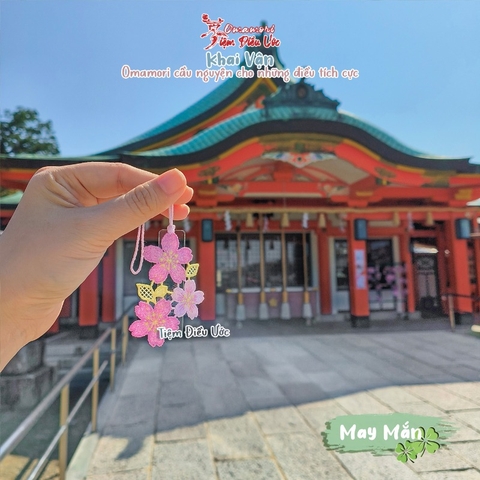 May Mắn - Hoa Anh Đào ren