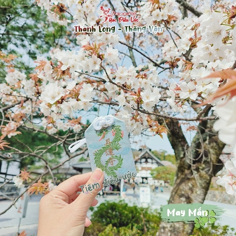 May Mắn - Thanh Long