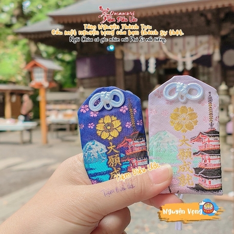 Nguyện Vọng - Fujiyoshida