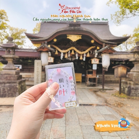 Nguyện Vọng - Fushimi - Vòng chuỗi