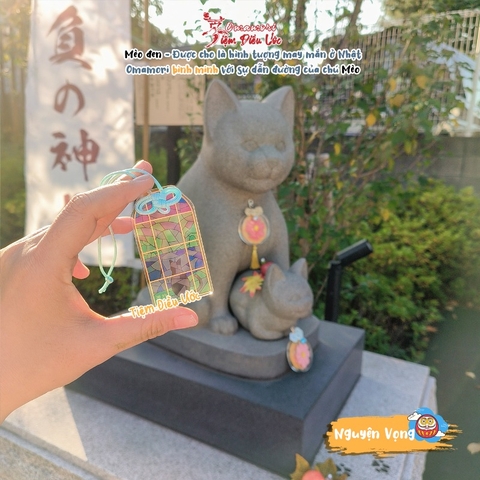 Nguyện vọng tương lai - Bình Minh