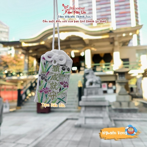 Nguyện Vọng - Namba