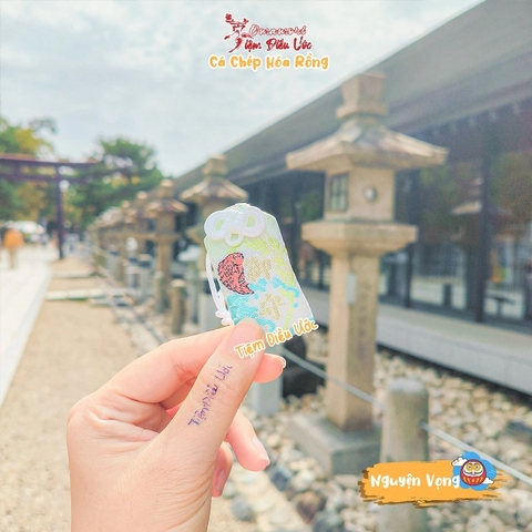 Nguyện Vọng - Hyogo