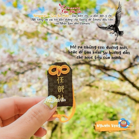 Nguyện Vọng - Dẫn Đường - Sakyo