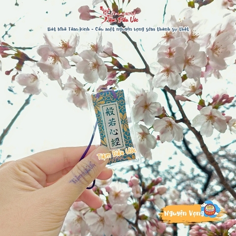 Nguyện Vọng - Bát Nhã Tâm Kinh