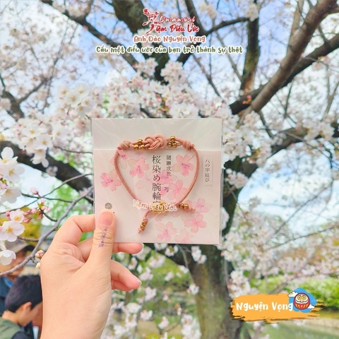 Omamori Nguyện Vọng Sakura Minami