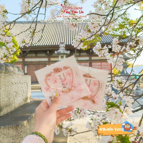 Omamori Nguyện Vọng Sakura Minami