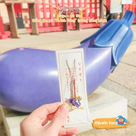 Nguyện Vọng - Nasu