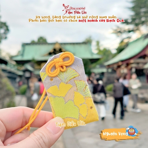 Nguyện Vọng - Phát triển mở rộng