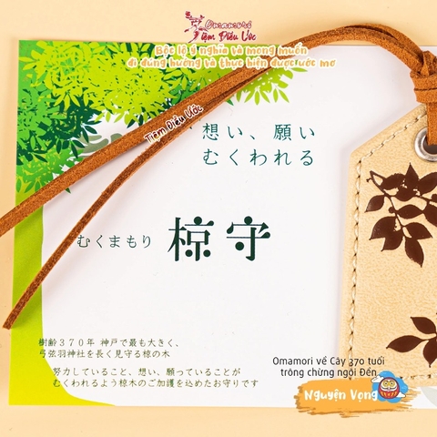 Nguyện Vọng - Mukumamori