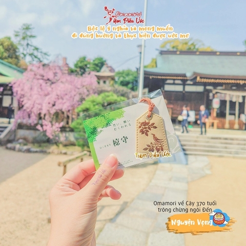 Nguyện Vọng - Mukumamori