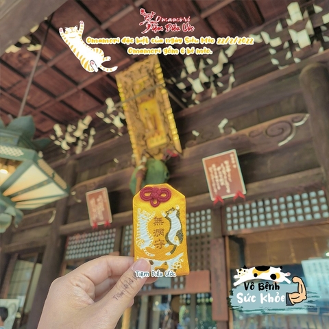 Sức khoẻ - Byodojo