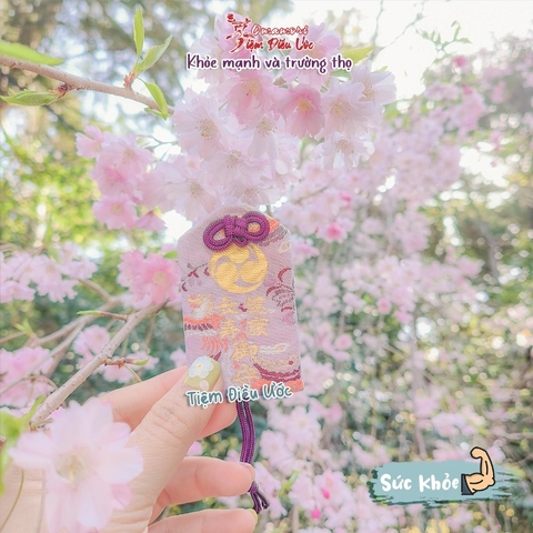 Sức Khoẻ Trường Thọ - Iwata