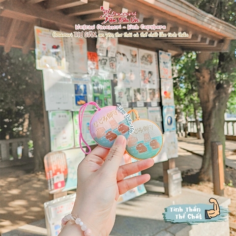 Sức Khoẻ - Kashiwa - Cappybara Thư Giãn