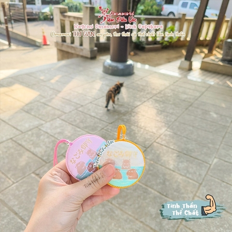 Sức Khoẻ - Kashiwa - Cappybara Thư Giãn