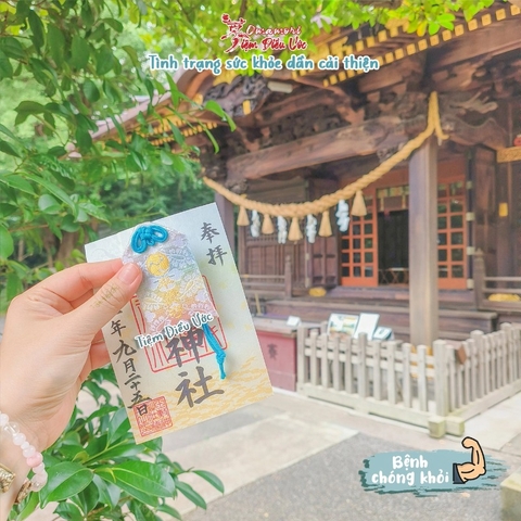 Bệnh chóng khỏi - Kazo - Bình Phục