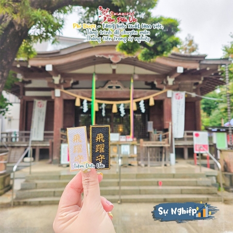 Sự nghiệp - Phi Dược