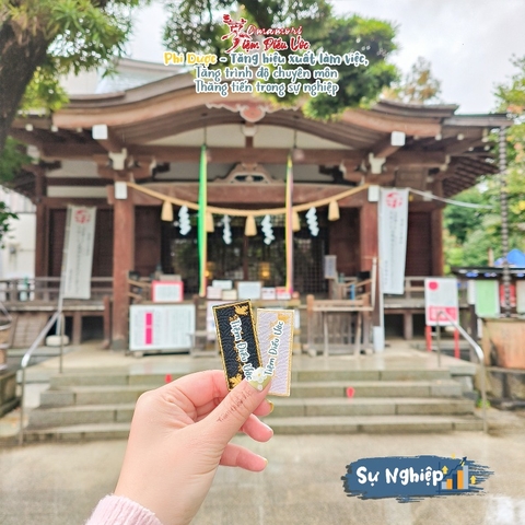 Sự nghiệp - Phi Dược