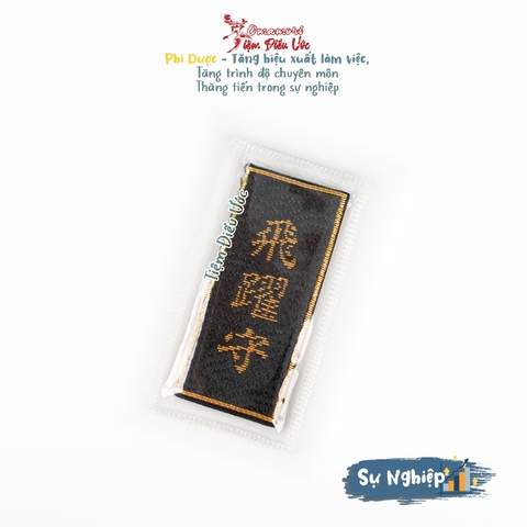 Sự nghiệp - Phi Dược