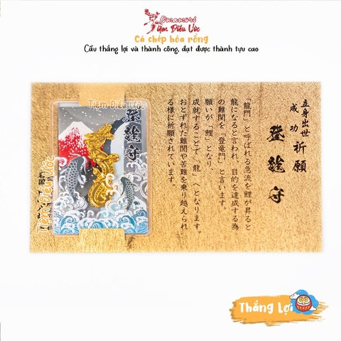 Thắng Lợi - Cá chép hoá rồng Imazumachi