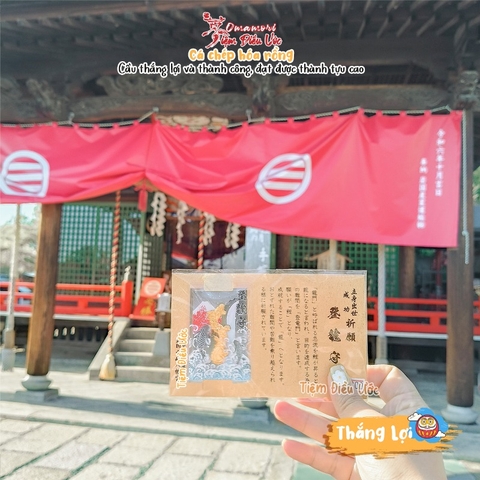 Thắng Lợi - Cá chép hoá rồng Imazumachi