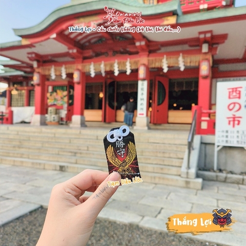 Thắng Lợi - Koto