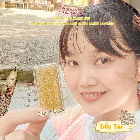 Tiền Tài - Hanamigawa