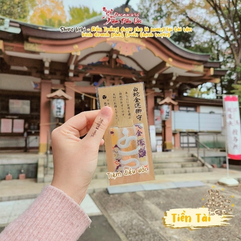 Tiền Tài - Shiro Hebi - Setagaya