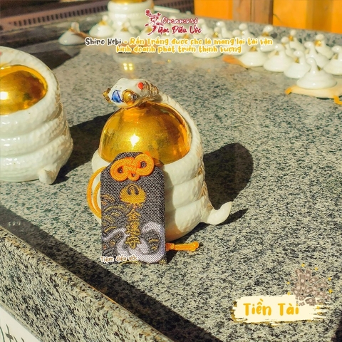 Tiền Tài Hebi - Kawagoe