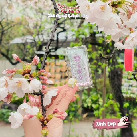 Xinh Đẹp - Shibuya