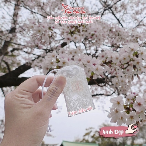 Xinh đẹp trẻ trung