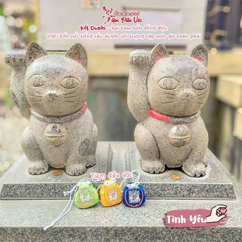 Tình yêu - Cặp mèo