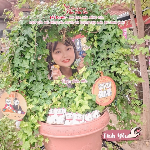 Tình yêu - Cặp mèo