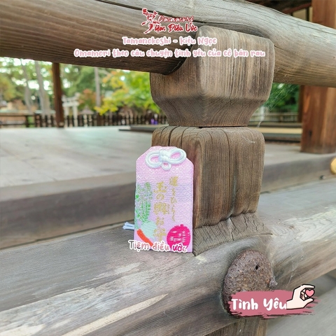 Tình Yêu - Tamanokoshi