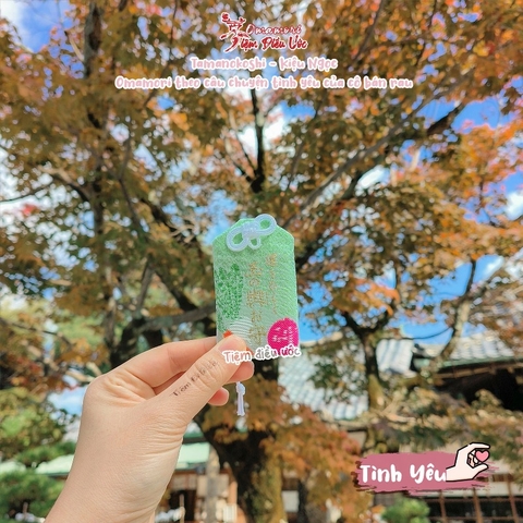 Tình Yêu - Tamanokoshi