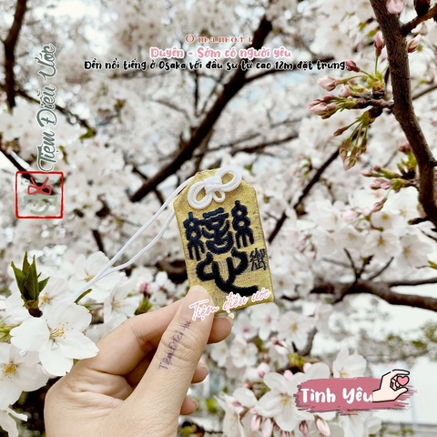 Tình yêu vàng Namba