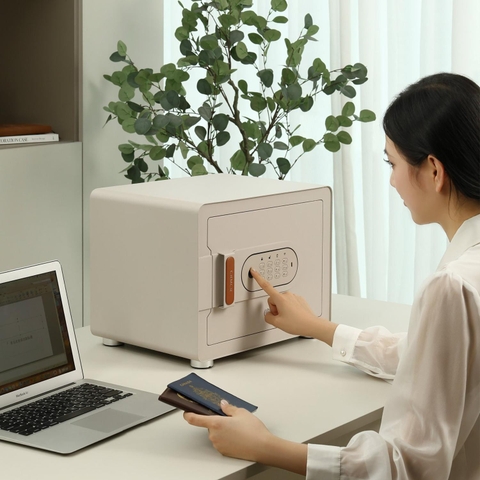 Két Sắt Xiaomi CRMCR Mini Thông Minh 30MS Cảnh báo điện thoại