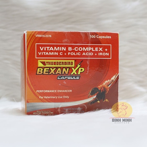 Bexan XP - Capsule (Viên)