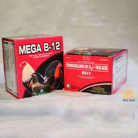 Mega B12