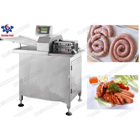 Máy buộc chỉ tự động dùng điện 2 đường buộc TP-WZC200D-I