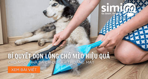 Cách Dọn Lông Chó Mèo Hiệu Quả-Cho Ngôi Nhà Sạch Đẹp Và Thoáng Mát