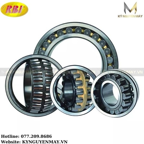 Bảng Giá Bạc Đạn RBI