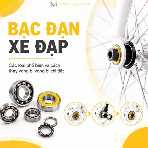 Vòng bi bạc đạn xe đạp - Các loại phổ biến và cách thay vòng bi xe đạp chi tiết