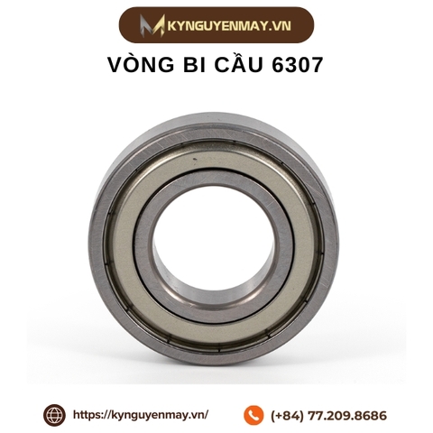 Vòng bi cầu 6307