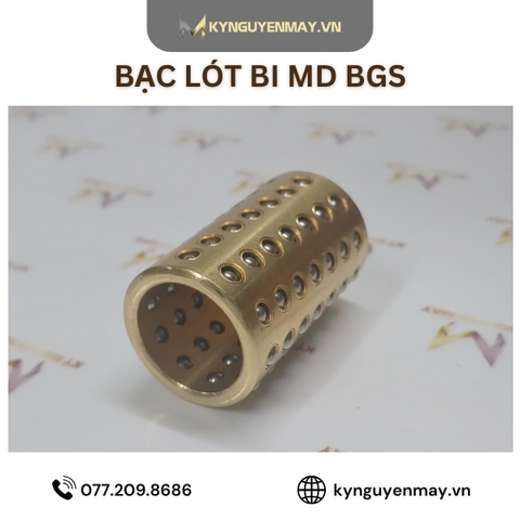 Bạc lót bi trượt MD BGS