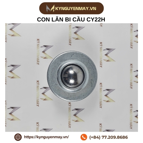 Con lăn bi cầu BOAI CY-H