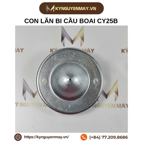 Con lăn bi cầu CY-25B