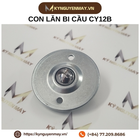 Con lăn bi cầu BOAI CY-B