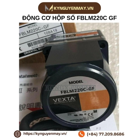 Động cơ hộp số FBLM220C GF hãng Oriental Motor VEXTA