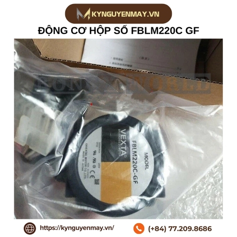 Động cơ hộp số FBLM220C GF hãng Oriental Motor VEXTA